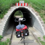 1208F 033 am jungen Neckar